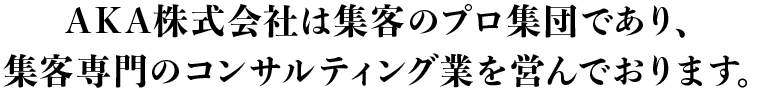 AKA株式会社は集客のプロ集団であり、集客専門のコンサルティング業を営んでおります