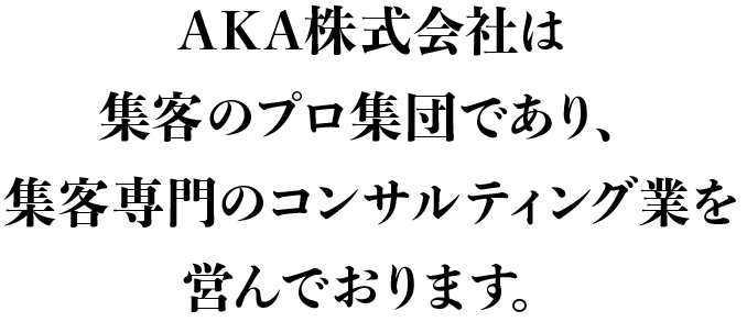 AKA株式会社は集客のプロ集団であり、集客専門のコンサルティング業を営んでおります